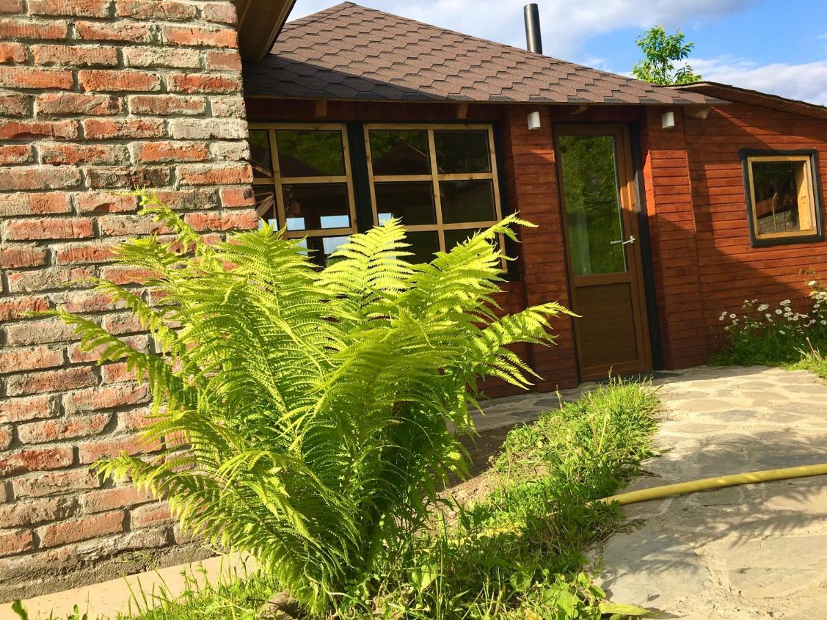Vip-Domyk Rakhiv Exterior foto